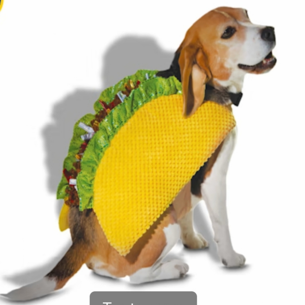 Dog Halloween costume